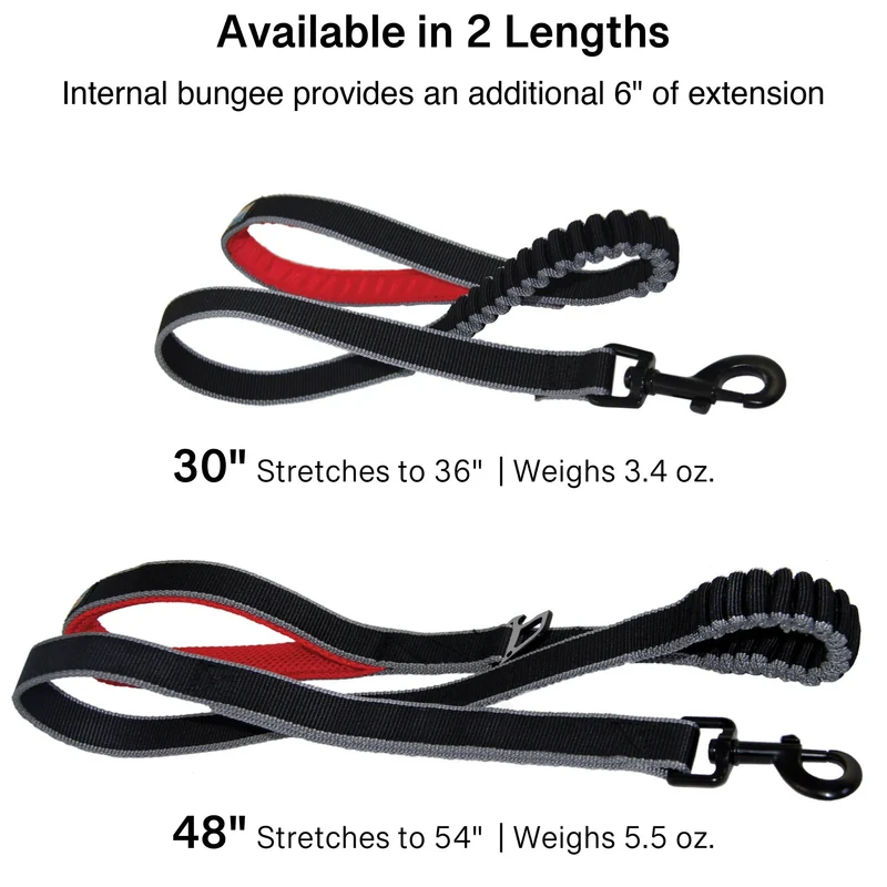 Kurgo Springback Leash – Stoßdämpfende Hundeleine mit Ruckabsorption für entspannte Spaziergänge ohne Ziehen