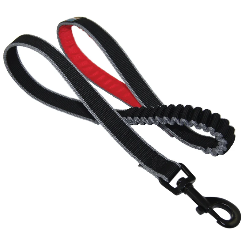 Kurgo Springback Leash – Stoßdämpfende Hundeleine mit Ruckabsorption für entspannte Spaziergänge ohne Ziehen