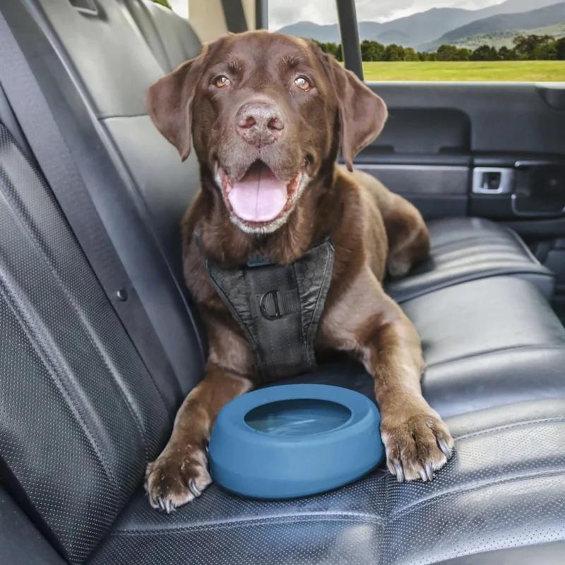 Kurgo Splash Free Wander Water Bowl – Auslaufsicherer Reise-Hundenapf für unterwegs, Auto & Outdoor