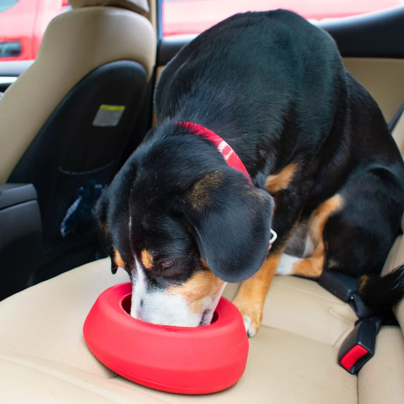 Kurgo Splash Free Wander Water Bowl – Auslaufsicherer Reise-Hundenapf für unterwegs, Auto & Outdoor