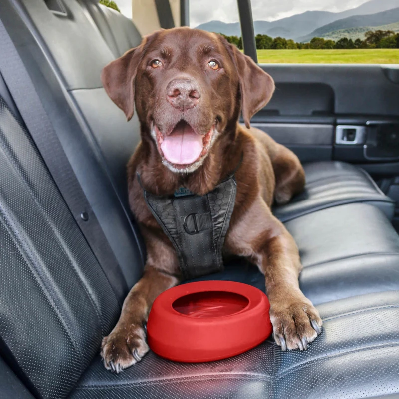 Kurgo Splash Free Wander Water Bowl – Auslaufsicherer Reise-Hundenapf für unterwegs, Auto & Outdoor
