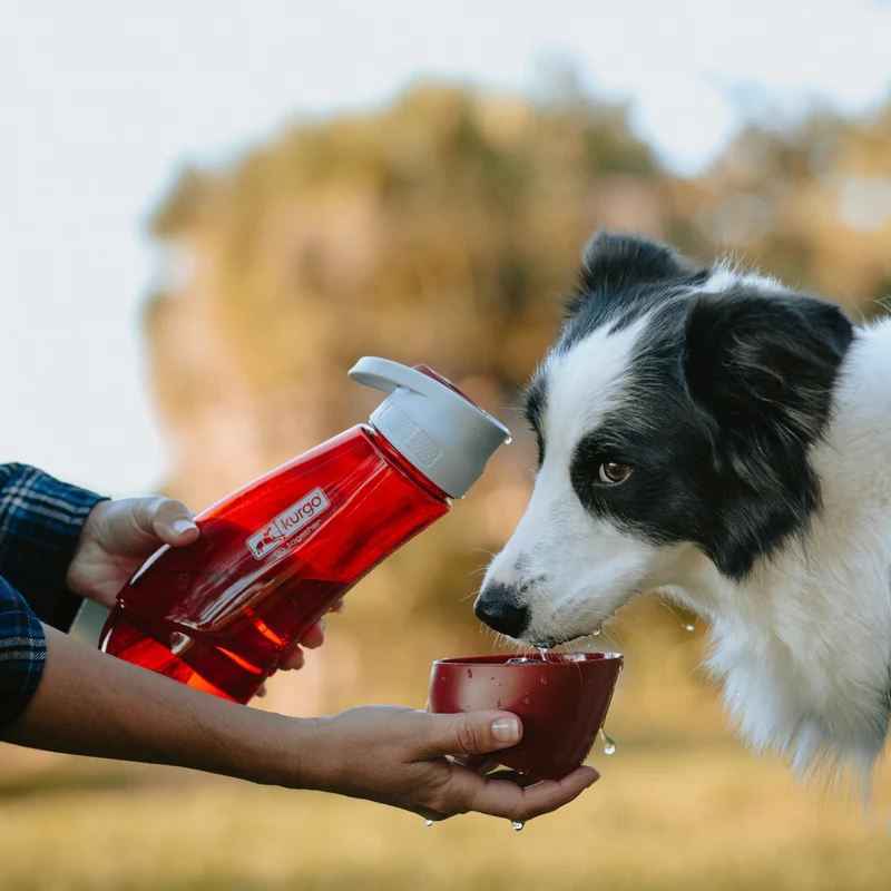 Kurgo Gourd Hundetrinkflasche mit Napf - 2-in-1 Trinkflasche für unterwegs