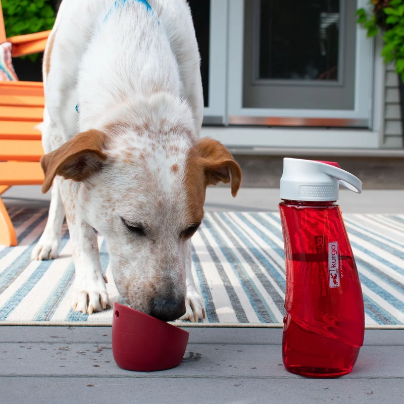Kurgo Gourd Hundetrinkflasche mit Napf - 2-in-1 Trinkflasche für unterwegs