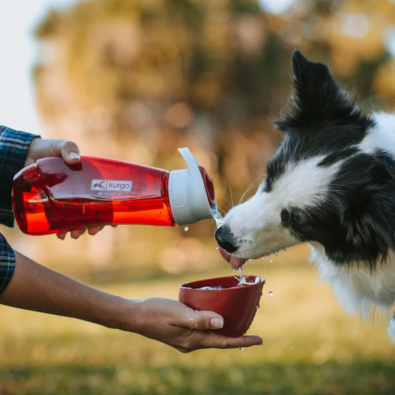 Kurgo Gourd Hundetrinkflasche mit Napf - 2-in-1 Trinkflasche für unterwegs