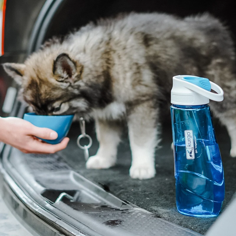 Kurgo Gourd Hundetrinkflasche mit Napf - 2-in-1 Trinkflasche für unterwegs