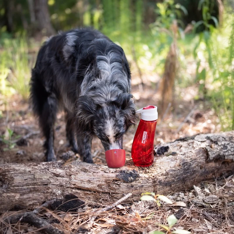 Kurgo Gourd Hundetrinkflasche mit Napf - 2-in-1 Trinkflasche für unterwegs