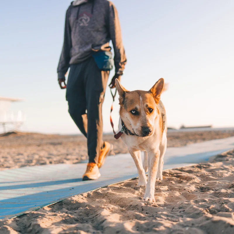 Ruffwear Pack Out Bag – Geruchsdichte Kotbeuteltasche für Hunde | Hygienisch, Diskret & Praktisch für Unterwegs | Einfache Gürtel-Befestigung