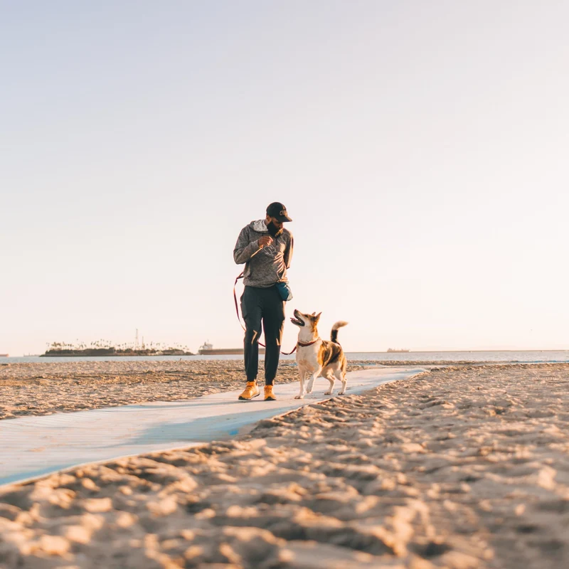 Ruffwear Pack Out Bag – Geruchsdichte Kotbeuteltasche für Hunde | Hygienisch, Diskret & Praktisch für Unterwegs | Einfache Gürtel-Befestigung