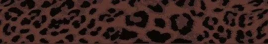 SALTYDOG | Halsband Leopard | PURE CHOC