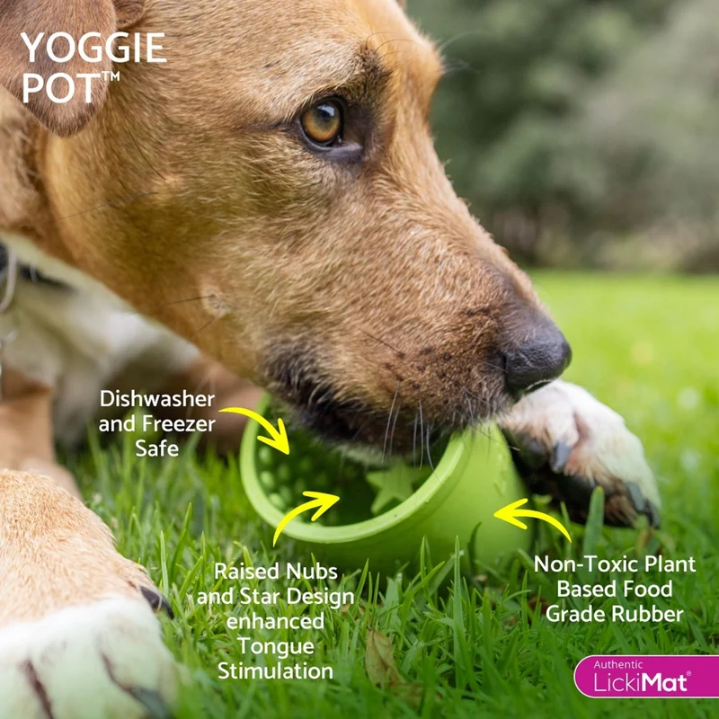 LickiMat Yoggie Pot – Anti-Schling Hundenapf für langsames Fressen & entspanntes Lecken