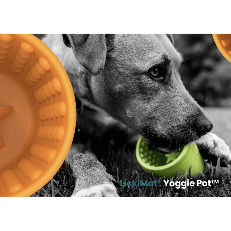 LickiMat Yoggie Pot – Anti-Schling Hundenapf für langsames Fressen & entspanntes Lecken