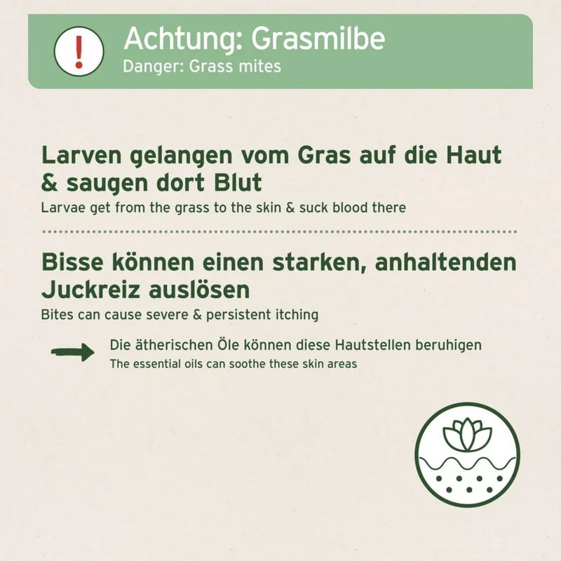 AniForte Grasmilben-EX Spray für Hunde – Natürlicher Schutz gegen Juckreiz, Hautreizungen & Grasmilbenbefall mit ätherischen Ölen