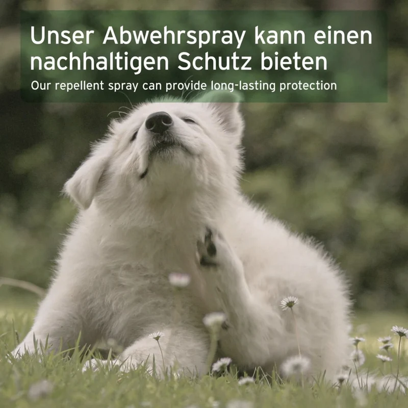 AniForte Grasmilben-EX Spray für Hunde – Natürlicher Schutz gegen Juckreiz, Hautreizungen & Grasmilbenbefall mit ätherischen Ölen