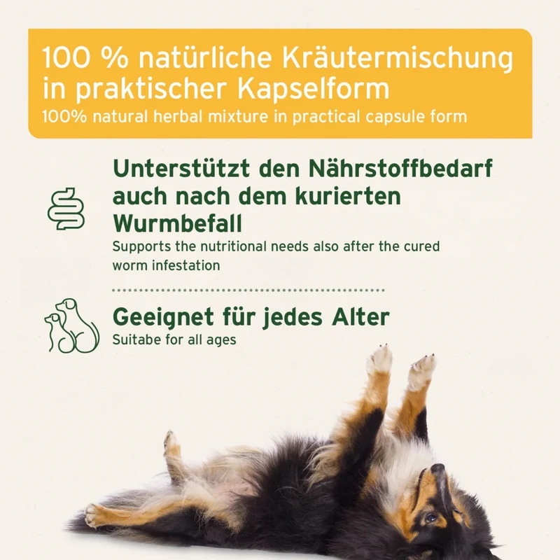 AniForte WermiX Kapseln für Hunde – Natürliche Kräutermischung nach Wurmbefall mit Thymian, Wermut & Salbei zur gezielten Nährstoffversorgung