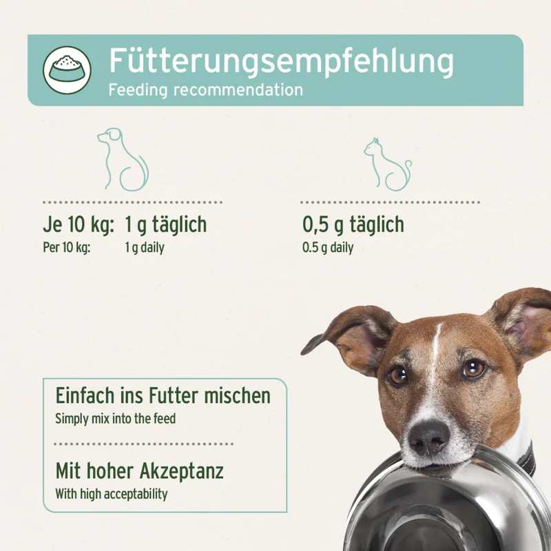 AniForte Denta Clean & Care Zahnpflege Pulver für Hunde – Natürliche Zahnreinigung gegen Plaque, Zahnstein & Mundgeruch