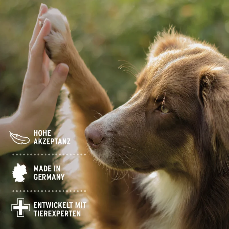 AniForte Denta Clean & Care Zahnpflege Pulver für Hunde – Natürliche Zahnreinigung gegen Plaque, Zahnstein & Mundgeruch