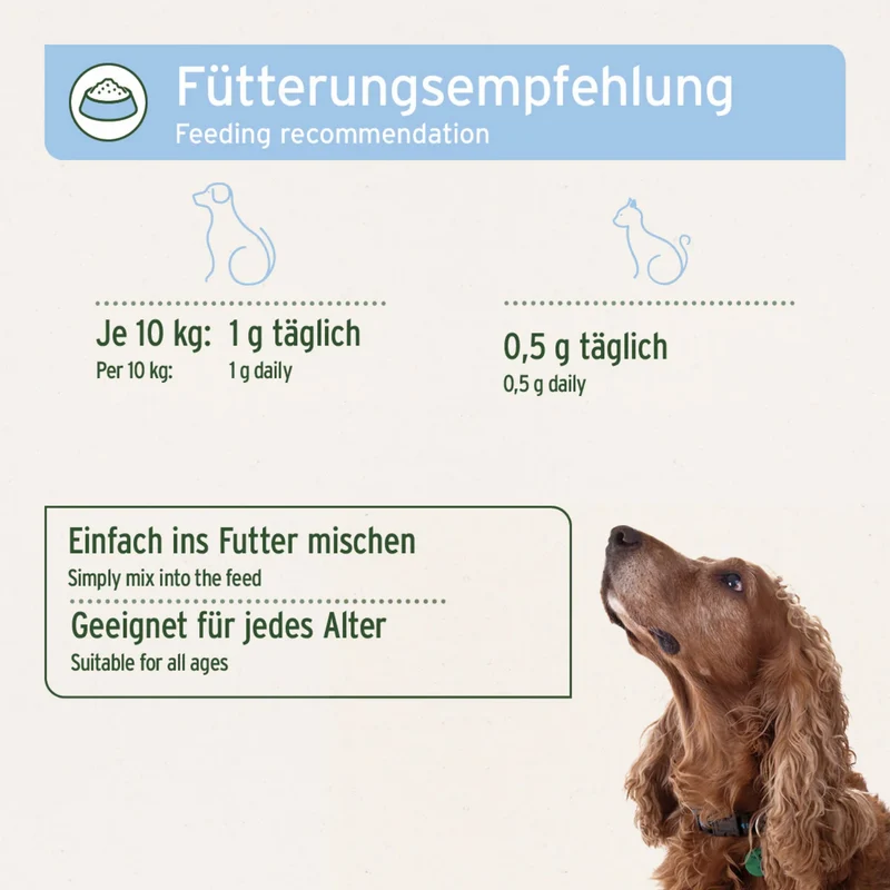AniForte Bierhefe Pulver für Hunde – Natürliche Unterstützung für glänzendes Fell, gesunde Haut & starke Abwehrkräfte