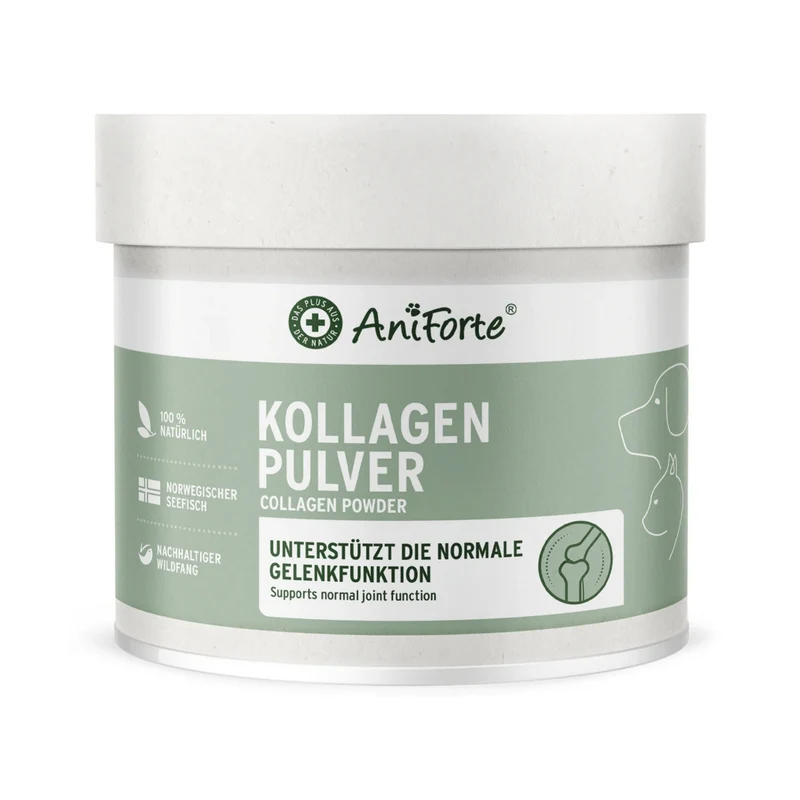 AniForte Kollagen Pulver für Hunde & Katzen – Natürliches Fisch-Kollagen aus norwegischem Wildfang für starke Gelenke, Mobilität & Vitalität – Getreidefrei & hochdosiert