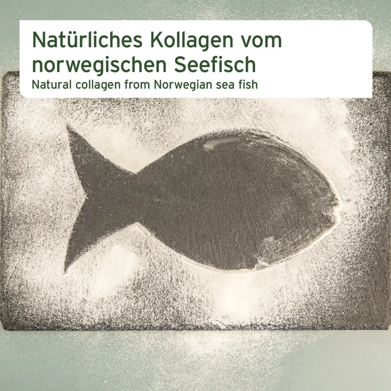AniForte Kollagen Pulver für Hunde & Katzen – Natürliches Fisch-Kollagen aus norwegischem Wildfang für starke Gelenke, Mobilität & Vitalität – Getreidefrei & hochdosiert