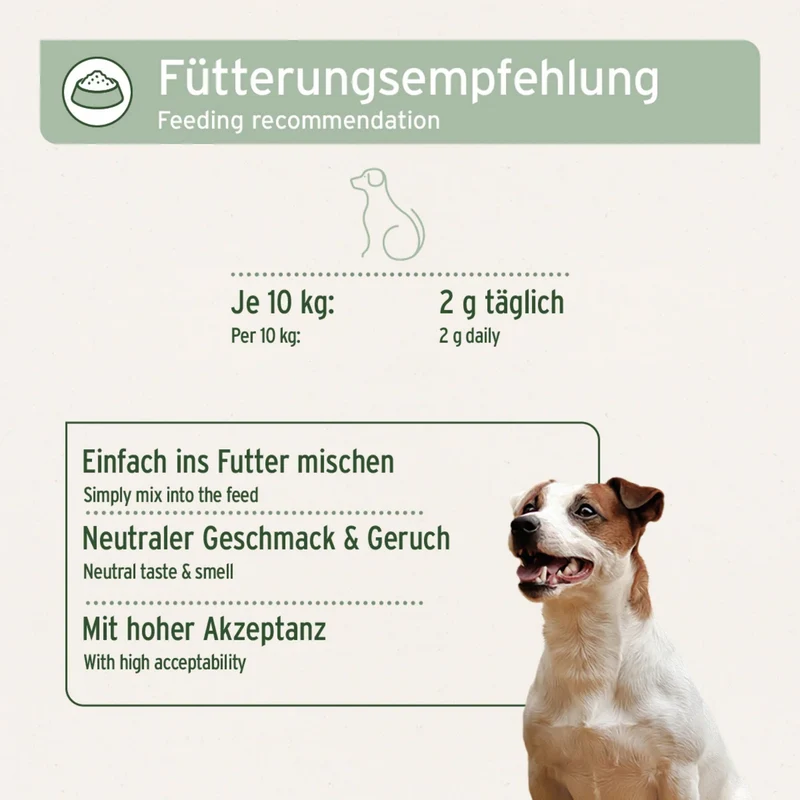 AniForte Kollagen Pulver für Hunde & Katzen – Natürliches Fisch-Kollagen aus norwegischem Wildfang für starke Gelenke, Mobilität & Vitalität – Getreidefrei & hochdosiert