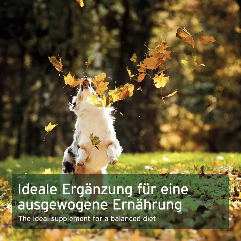 AniForte BARF LINE Naturkräuter-Mix – Premium Kräutermischung für natürliche Vitalität & gesunde Verdauung beim Hund