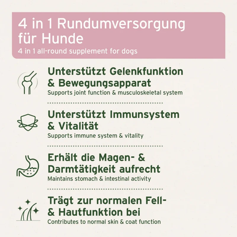 AniForte 4in1 Complete Dog – Natürliche Rundum-Versorgung mit Bierhefe, Hagebutte, Seealge & Traubenkernmehl für Vitalität, Immunsystem & glänzendes Fell