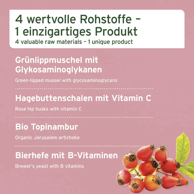 AniForte 4in1 Complete Dog – Natürliche Rundum-Versorgung mit Bierhefe, Hagebutte, Seealge & Traubenkernmehl für Vitalität, Immunsystem & glänzendes Fell