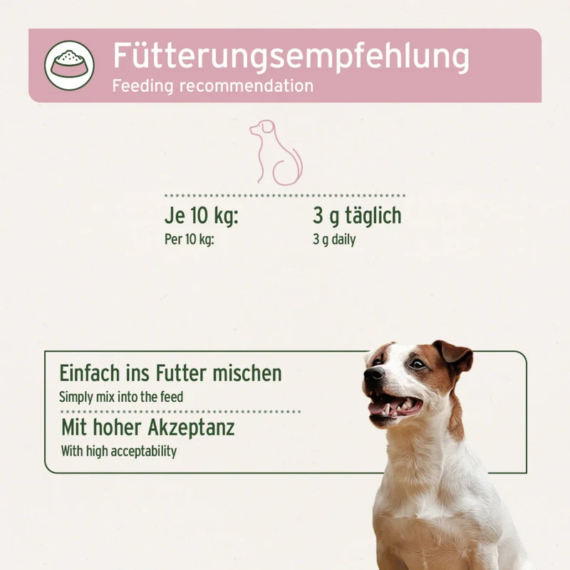 AniForte 4in1 Complete Dog – Natürliche Rundum-Versorgung mit Bierhefe, Hagebutte, Seealge & Traubenkernmehl für Vitalität, Immunsystem & glänzendes Fell