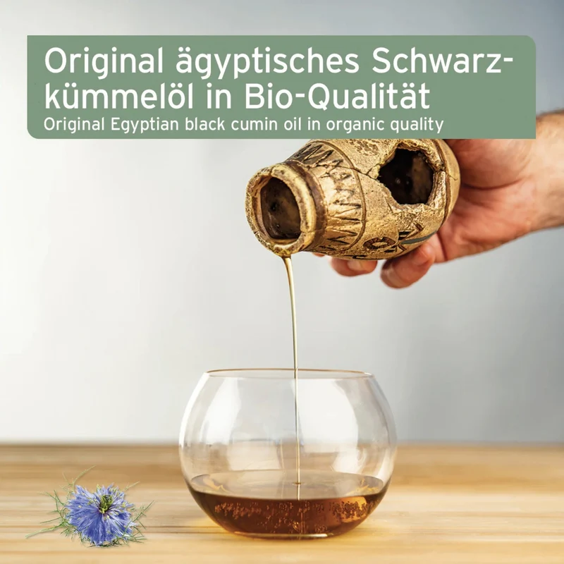 AniForte Ägyptisches Bio Schwarzkümmelöl für Hunde – Natürliche Unterstützung für Immunsystem, Haut & Fell, Verdauung und Vitalität