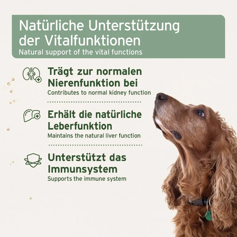 AniForte Ägyptisches Bio Schwarzkümmelöl für Hunde – Natürliche Unterstützung für Immunsystem, Haut & Fell, Verdauung und Vitalität