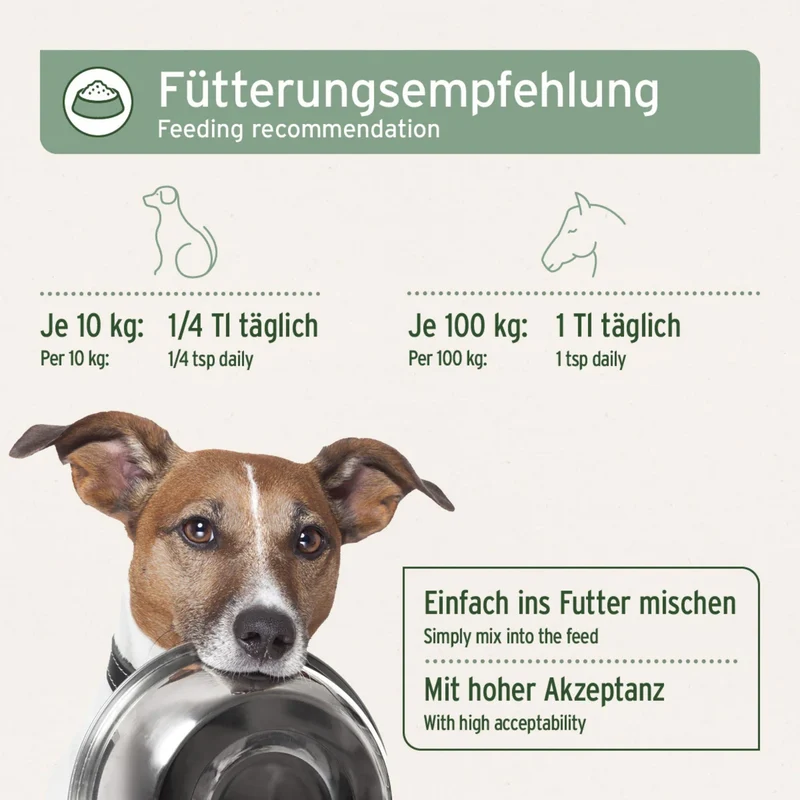 AniForte Ägyptisches Bio Schwarzkümmelöl für Hunde – Natürliche Unterstützung für Immunsystem, Haut & Fell, Verdauung und Vitalität