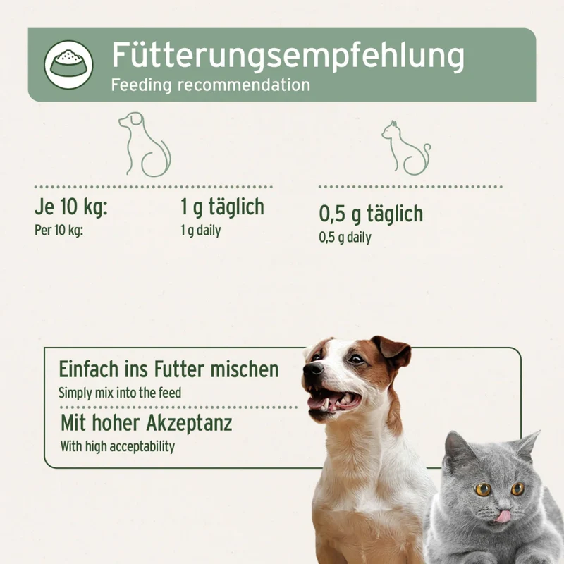 AniForte Afrikanische Teufelskralle für Hunde – Natürliche Gelenkunterstützung & Bewegungsfreude für aktive Vierbeiner