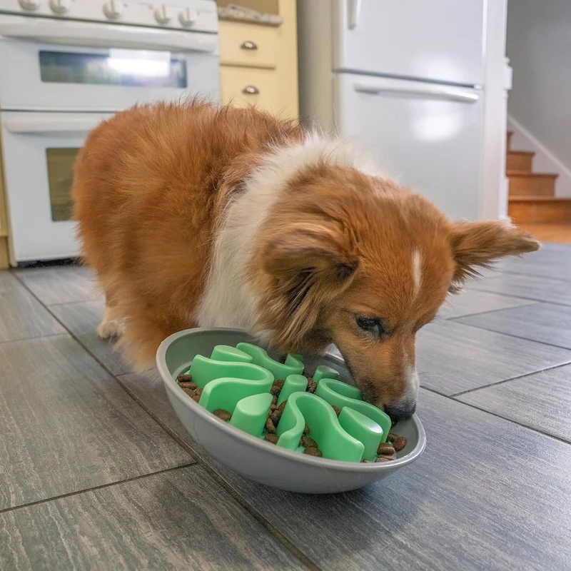 Outward Hound Fun Feeder Wobble Slo-Bowl, Anti-Schling Napf