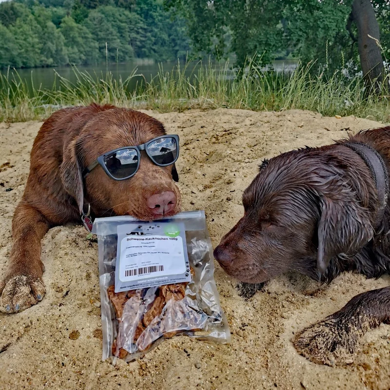 Schweine-Kauknochen