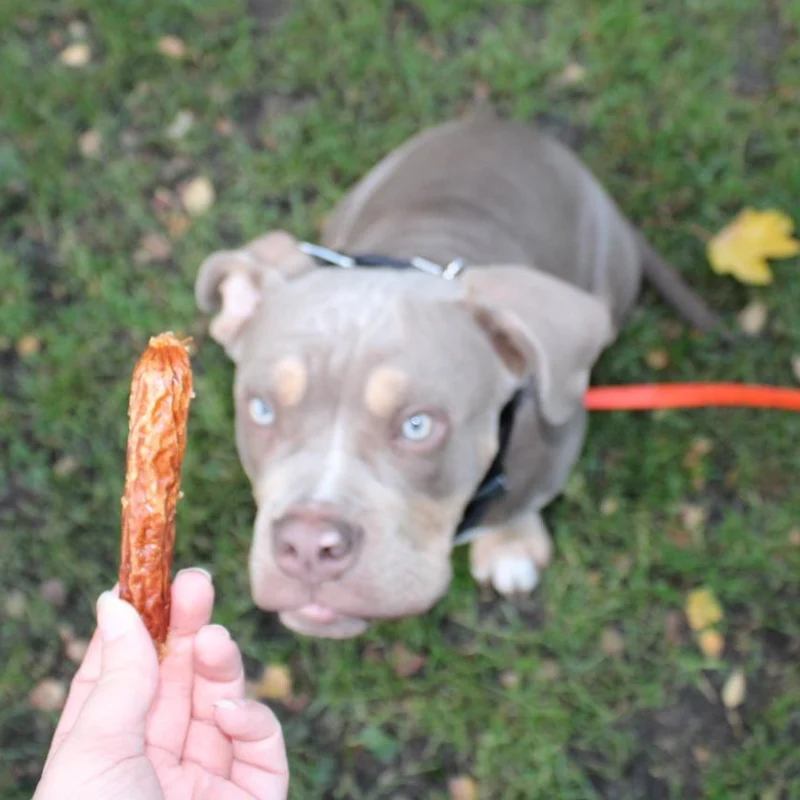 Bockwurst Ente