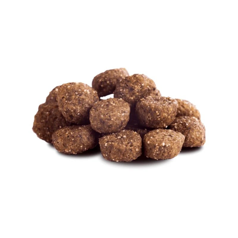 The Goodstuff Senior/Light Trockenfutter Lachs – Getreidefreies Premium-Hundefutter für ältere & weniger aktive Hunde mit Gelenkschutz & leichter Verdaulichkeit