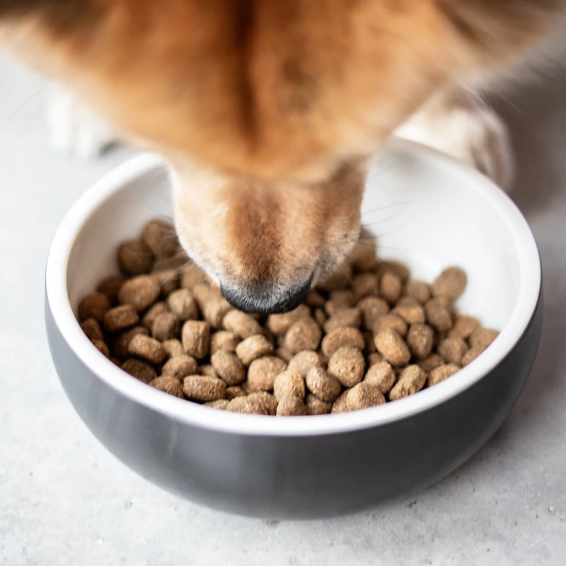 The Goodstuff Senior/Light Hundefutter mit Huhn – Gelenkunterstützung, Gewichtskontrolle & leichte Verdaulichkeit für ältere und übergewichtige Hunde