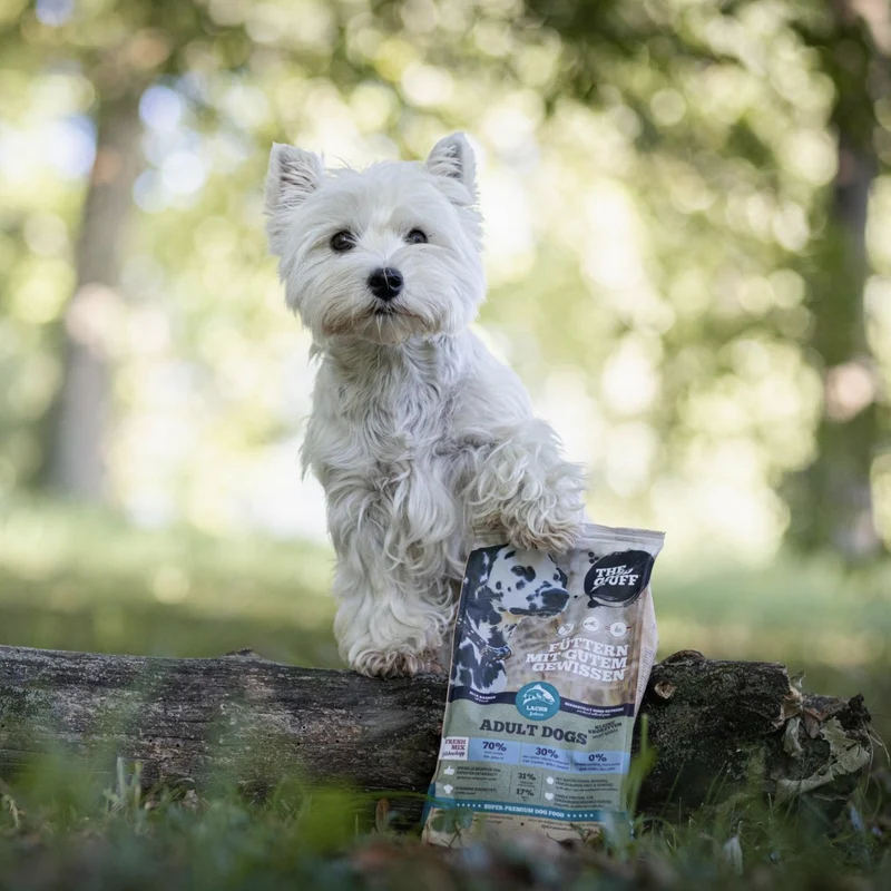 The Goodstuff Adult Minis Trockenfutter mit Lachs – Natürliches Premium-Hundefutter für kleine Rassen, getreidefreie Rezeptur mit hohem Fleischanteil