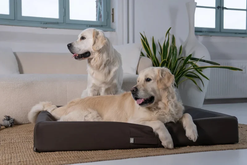 ammi®Bed | Orthopädisches Hundebett Kunstleder