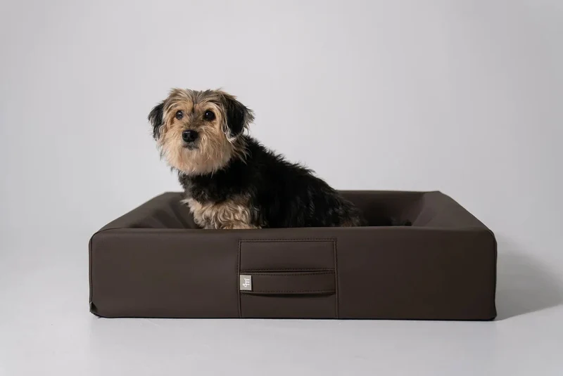 ammi®Bed | Orthopädisches Hundebett Kunstleder