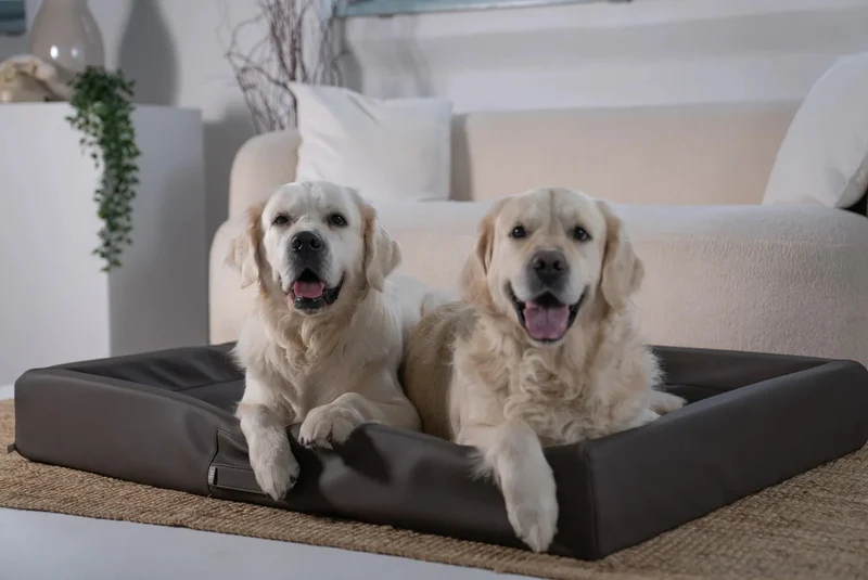 ammi®Bed | Orthopädisches Hundebett Kunstleder