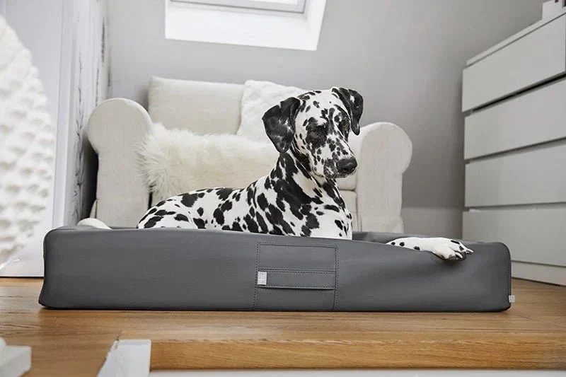 ammi®Bed | Orthopädisches Hundebett Kunstleder