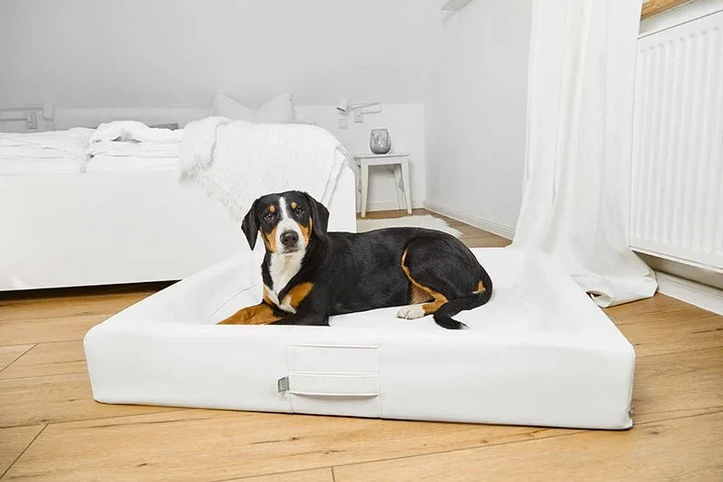 ammi®Bed | Orthopädisches Hundebett Kunstleder