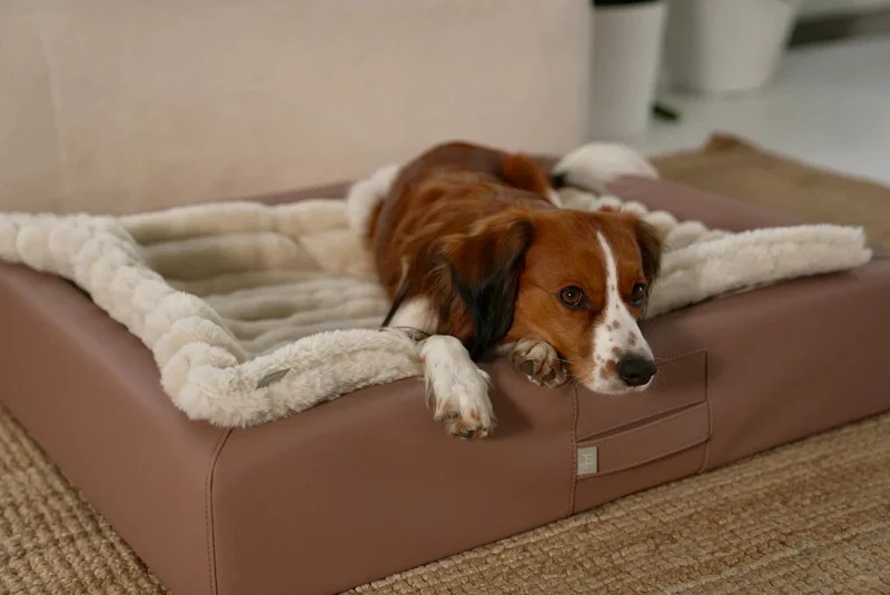 ammi®Bed | Orthopädisches Hundebett Kunstleder
