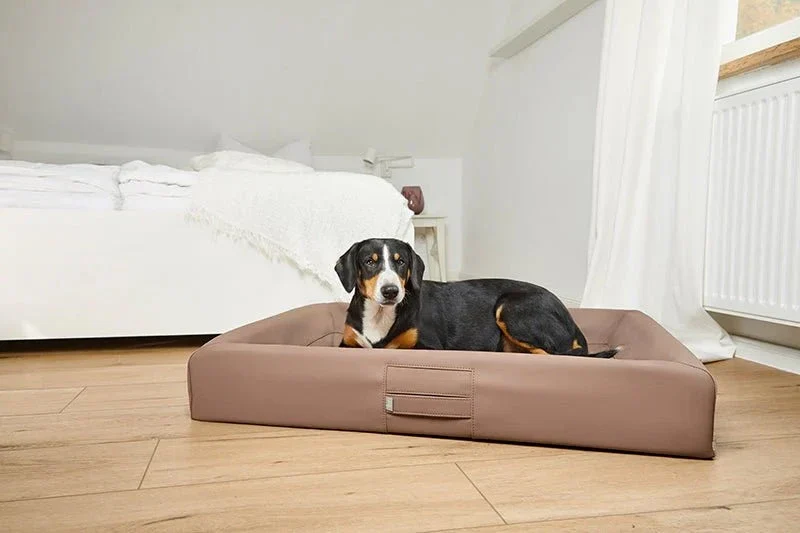 ammi®Bed | Orthopädisches Hundebett Kunstleder