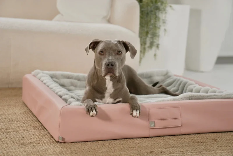 ammi®Bed | Orthopädisches Hundebett Kunstleder