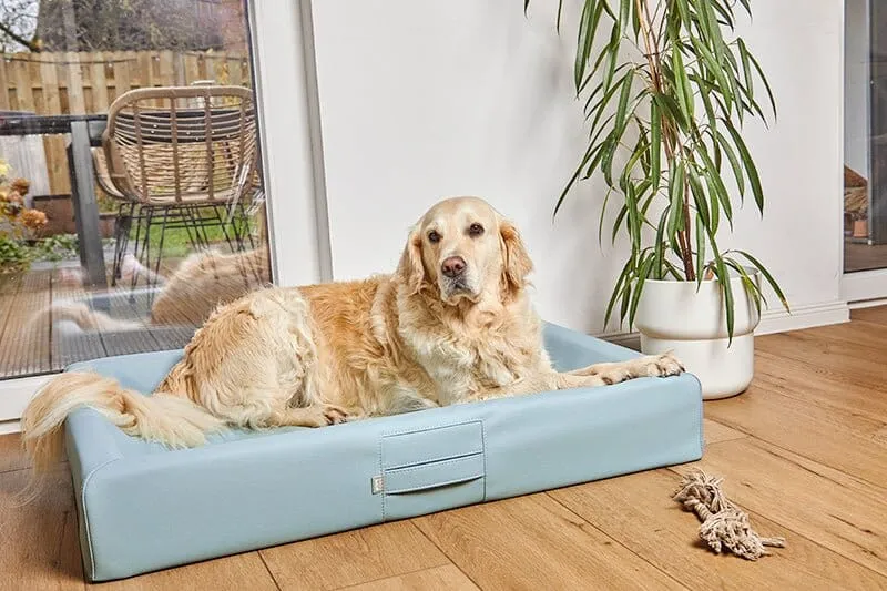 ammi®Bed | Orthopädisches Hundebett Kunstleder