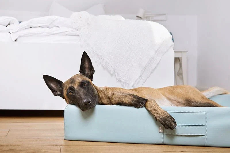 ammi®Bed | Orthopädisches Hundebett Kunstleder
