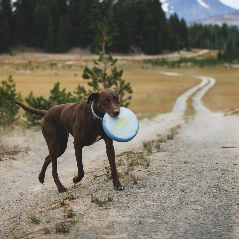 Ruffwear Camp Flyer – Premium Frisbee für Hunde, schwimmfähig, weich & robust für Apportier-Abenteuer am Wasser & Land