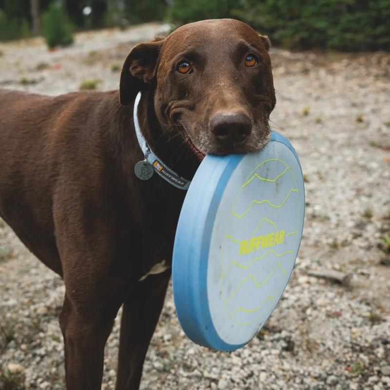 Ruffwear Camp Flyer – Premium Frisbee für Hunde, schwimmfähig, weich & robust für Apportier-Abenteuer am Wasser & Land